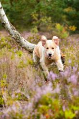 f75f9675c95fc6ca0bf7fbe55e21b2ba_164x246_fill