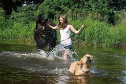 f768b9c8545fc8b3dad2da43e5f15db1_246x164_fill