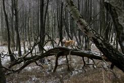 f7de2a8d059e480cd6a893cf68fb078a_245