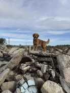 f7e044a8c6aef91ad14b113aa63b3851_138x184_fill