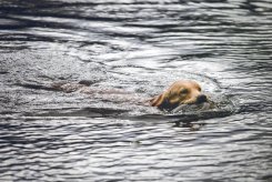 f83e56da959cbde41e651b58fb07f05a_245