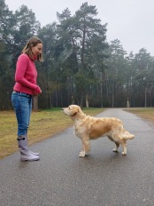 f87d3b4f0461bcf6a33fc63cf8e9ca57_174x232_fill