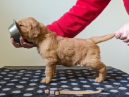 f88db06851bf319b84d6cfbfb884f4d0_183