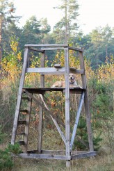 f8d8a288f6c342fd37e4191125e38ced_164x246