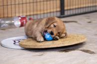 f8ec416f5018e2404b759c5a0d5c9932_195x130_fill