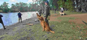 f96e22f9340e86ef36e8bc3acb70ba3b_294