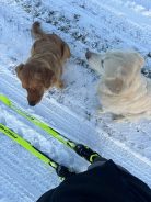 f9730c55a6979b3450bfdd1ff680975a_138x184_fill