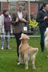 f991f8863fa8b6e230c8f9b74b1f9283_164x246