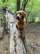 f9c2690ff4df2a0e9c5775ea7afb0b9a_138x184_fill