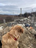 f9cb64e7015d0a33ca12345167653d8a_138x184_fill