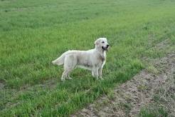 fa05ed1d062cb2649c255bba2f128bf1_246x164_fill