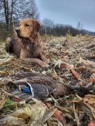 fa0d6cd0b77618eca5924afac3bc67fa_138x184_fill