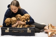 fa46ff11c655c1da51ffe0423b5e4d83_195x130_fill