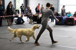 fa48778309c82c6c625a6602aef2fd21_246