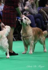 fa5c3966c806bbcaf3afc882f7591103_166x240