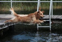 fa92c5976b904f796126c8406aca1cf0_245