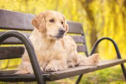 fab9101334721bdb76109e7dbbc0af7e_246