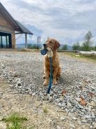 facc2e8578f7755558b77dfa0173e336_138x184_fill