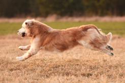 fad3e20bdcaa467081d93a782604dd45_246