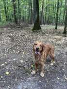 fade2f0dac974bc23a33b3b50bdbb8e0_138x184_fill