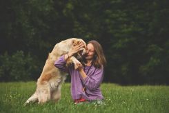 fae872935949e152dc9728440cf83330_245