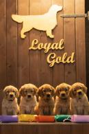 fb2d4aa697ed00590c86f804a8ce16e3_130x195_fill