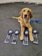 fb45fcff37b3fb3ab82dce9fcdb7e3cb_138x184_fill