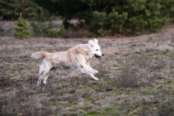 fb791f24378ec6dd634793ad5790ad5a_246