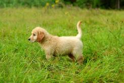 fbaf43100ed40adc0b171dfcdbdfe0ac_245