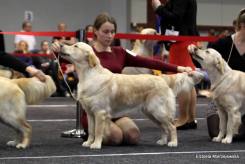 fbd6cccca3121d7f49025d3ae4b58770_245