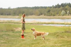 fc154793cab98ae3fa57a2cdfd6e7a3b_246