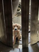 fc376e4fddfc7dc65bd9c40eac79b758_138x184_fill