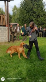 fc3b2a3c075e6beb450163e35efb955d_150x267