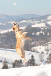 fc9f6407f31140fad59e0e0e6869f871_164x245