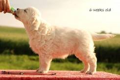 fd3a6b8bda9905ceb092d01bcb59a51a_245