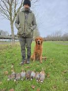 fd7369b1e99d6e2862611f0f79b139a4_138x184_fill