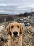 fd83a55581db88169ea5275df5253278_138x184_fill