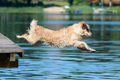 fdda5403f5e4805d5679f0f398f4cff1_245