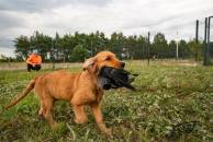 fe3dc459aad2ba5585b0ed0e877c33b1_194