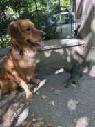 fe58db10e4446b70277c50b8b98ef39a_138x184_fill