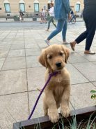 fe6e6a085d30e7b9a88c1c31bfde42f6_138x184_fill