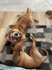 fea5eb0286d37ebfb35ffacdb824a635_174x232_fill