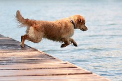 fec2c7d0a00fc9c8df6e8832b2b2ebb9_246