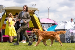 ff0211e68db351e5a04a5c53a6f5b0cd_246