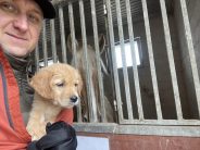 ff03c435424110f4e6588e876296eab1_184x138_fill