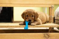 ff445f288c3e221a9c4dee27aff8808e_195x130_fill