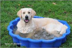 ff54c6fdbd8fa0ec02c92eaf7bfe4bbe_245