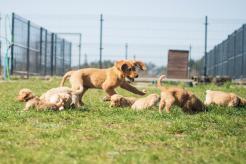 ff57869549f2738a7c484c5c02aacb7a_246x164_fill