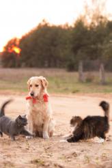 ff91b33f7c60587320d5bed3453484ec_164x246_fill