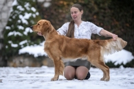 ffa9c4365bb3bf59eadba2c8a06e6057_195